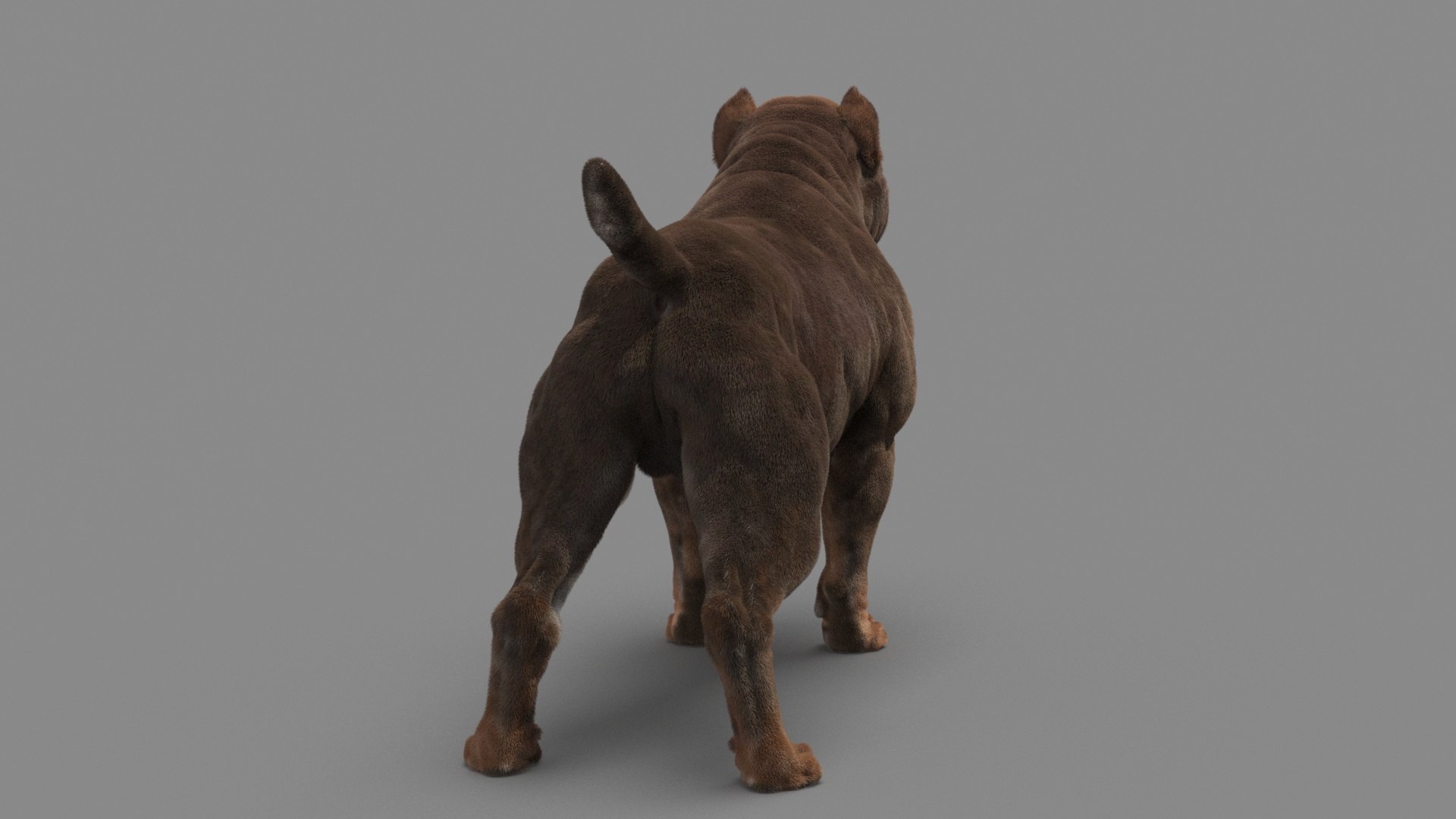American Pit Bull Terrier 3D model https://p.turbosquid.com/ts-thumb/xt/9j6eFO/tf/dog_0015/jpg/1625593106/1920x1080/fit_q87/8e5493607f20a2f24dcf1356db35a66ed5076ef4/dog_0015.jpg