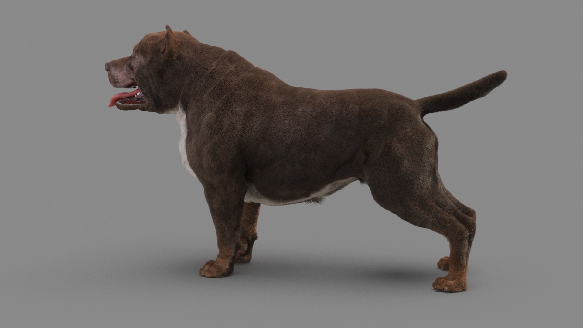 American Pit Bull Terrier 3D model https://p.turbosquid.com/ts-thumb/xt/9j6eFO/vB/dog_0022/jpg/1625594772/1920x1080/fit_q87/e5ed662f276166a0b46ec1608ff8e2219be86865/dog_0022.jpg