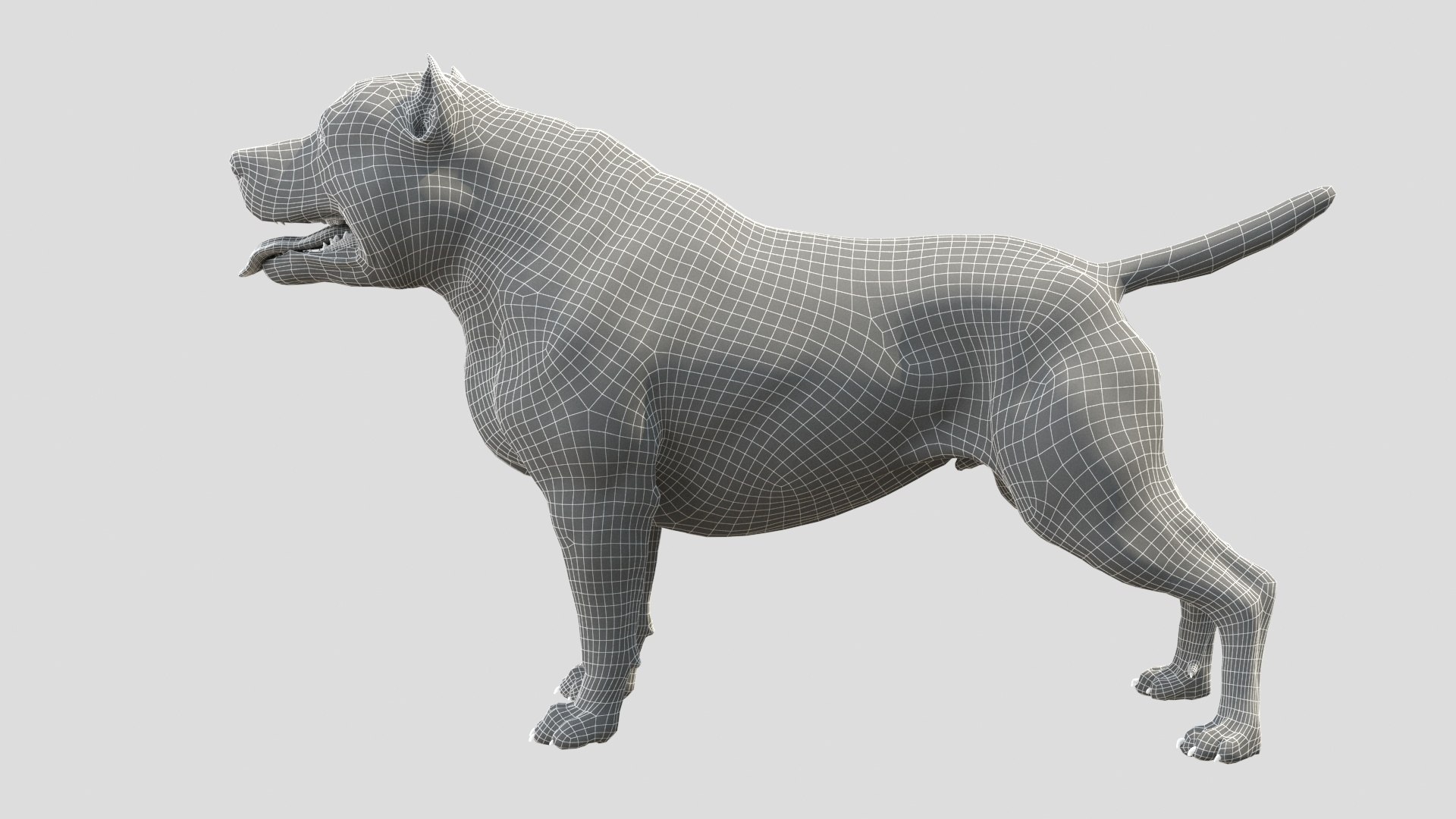 American Pit Bull Terrier 3D model https://p.turbosquid.com/ts-thumb/xt/9j6eFO/xi/w_02/jpg/1625587420/1920x1080/fit_q87/50fa7df030cf9bc5937760e5be35b4f27cf334ce/w_02.jpg