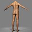 3d model male body