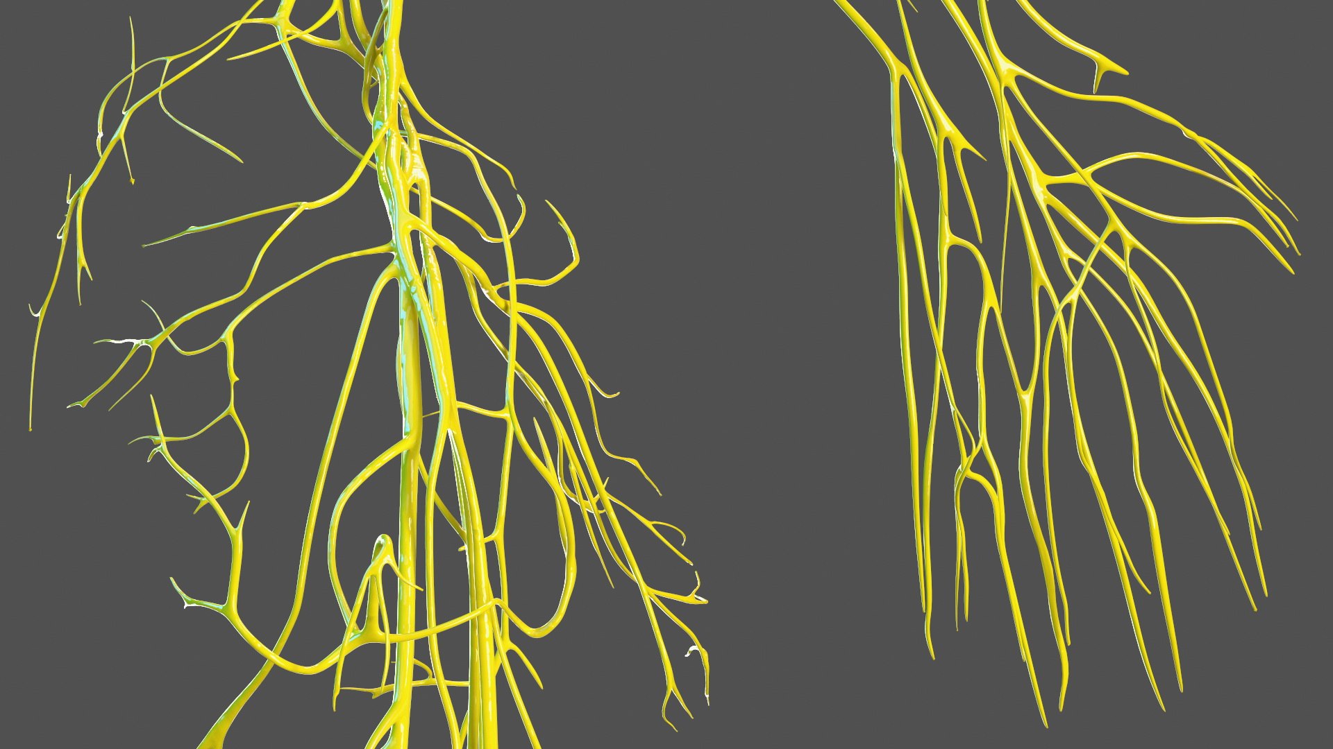 Boy Body Anatomy Collection 4 3D model https://p.turbosquid.com/ts-thumb/xt/F2Pvqw/AL/boybodyanatomycollection4mb3dmodel098/jpg/1655825363/1920x1080/fit_q87/9a0ba5d3a1cab8571e07aa46b969df83c12a6082/boybodyanatomycollection4mb3dmodel098.jpg