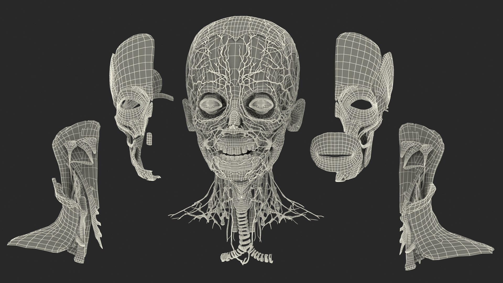 Boy Body Anatomy Collection 4 3D model https://p.turbosquid.com/ts-thumb/xt/F2Pvqw/AR/boybodyanatomycollection4mb3dmodel216/jpg/1655825840/1920x1080/fit_q87/c3671f8117e5980098fa272074cb745b470a80af/boybodyanatomycollection4mb3dmodel216.jpg