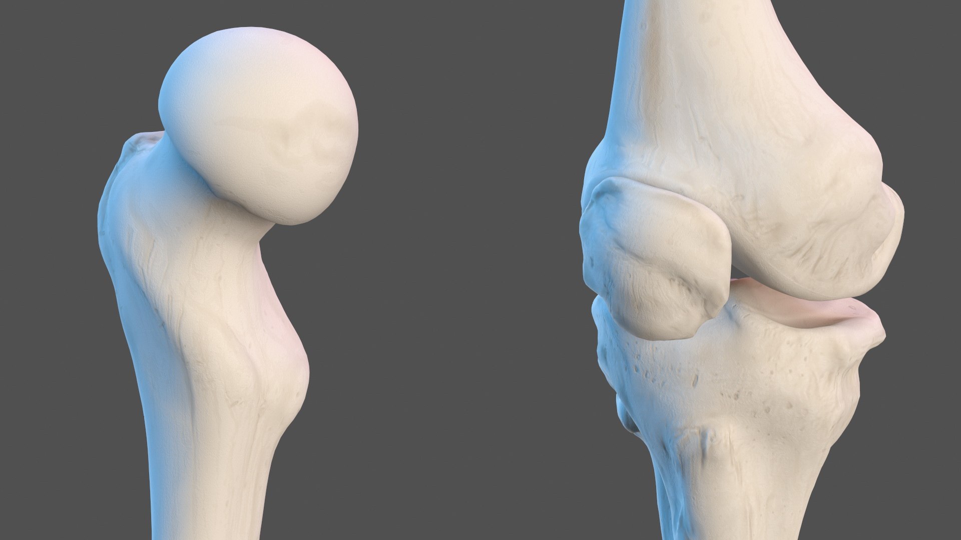 Boy Body Anatomy Collection 4 3D model https://p.turbosquid.com/ts-thumb/xt/F2Pvqw/EI/boybodyanatomycollection4mb3dmodel121/jpg/1655825458/1920x1080/fit_q87/7f87912d96d49e087c2ae4c14c84a18ee901bf9b/boybodyanatomycollection4mb3dmodel121.jpg