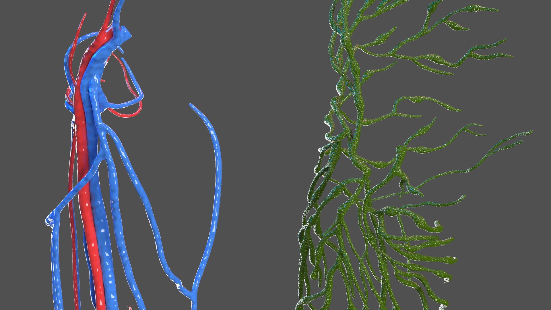 Boy Body Anatomy Collection 4 3D model https://p.turbosquid.com/ts-thumb/xt/F2Pvqw/Ji/boybodyanatomycollection4mb3dmodel125/jpg/1655825474/1920x1080/fit_q87/d7d18a0166d4dcf2fe43423bb20cfa56fee511da/boybodyanatomycollection4mb3dmodel125.jpg