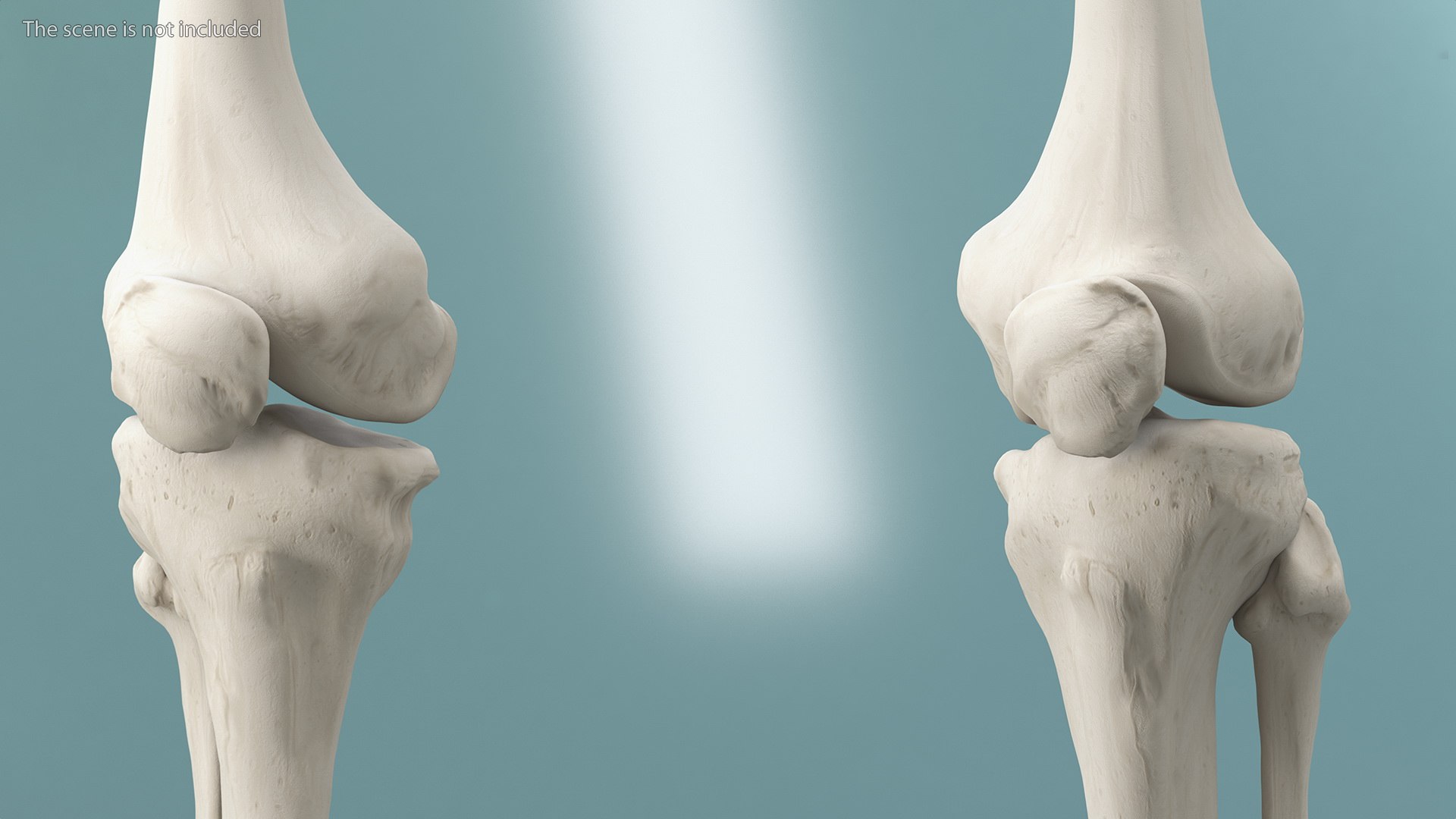 Boy Body Anatomy Collection 4 3D model https://p.turbosquid.com/ts-thumb/xt/F2Pvqw/RS/boybodyanatomycollection4mb3dmodel073/jpg/1655825272/1920x1080/fit_q87/06abf4edb88639e63366756037d07d2b1cce5b93/boybodyanatomycollection4mb3dmodel073.jpg