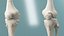 Boy Body Anatomy Collection 4