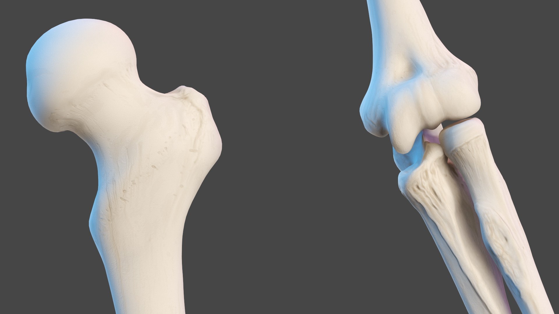 Boy Body Anatomy Collection 4 3D model https://p.turbosquid.com/ts-thumb/xt/F2Pvqw/VB/boybodyanatomycollection4mb3dmodel078/jpg/1655825290/1920x1080/fit_q87/38e3f8a7521b2e63e586c1754988bae45c3de04e/boybodyanatomycollection4mb3dmodel078.jpg