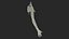 Boy Body Anatomy Collection 4
