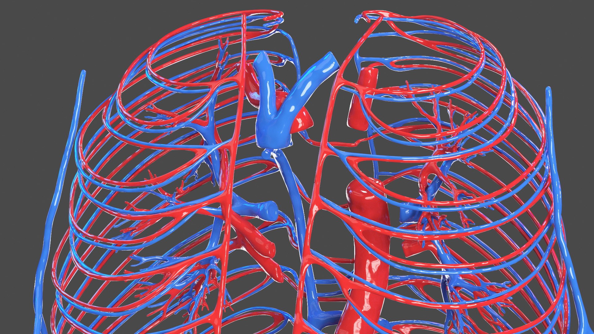 Boy Body Anatomy Collection 4 3D model https://p.turbosquid.com/ts-thumb/xt/F2Pvqw/fZ/boybodyanatomycollection4mb3dmodel036/jpg/1655825129/1920x1080/fit_q87/dbdca7f15c9816d1d90e6c51176e321c9853f8d8/boybodyanatomycollection4mb3dmodel036.jpg