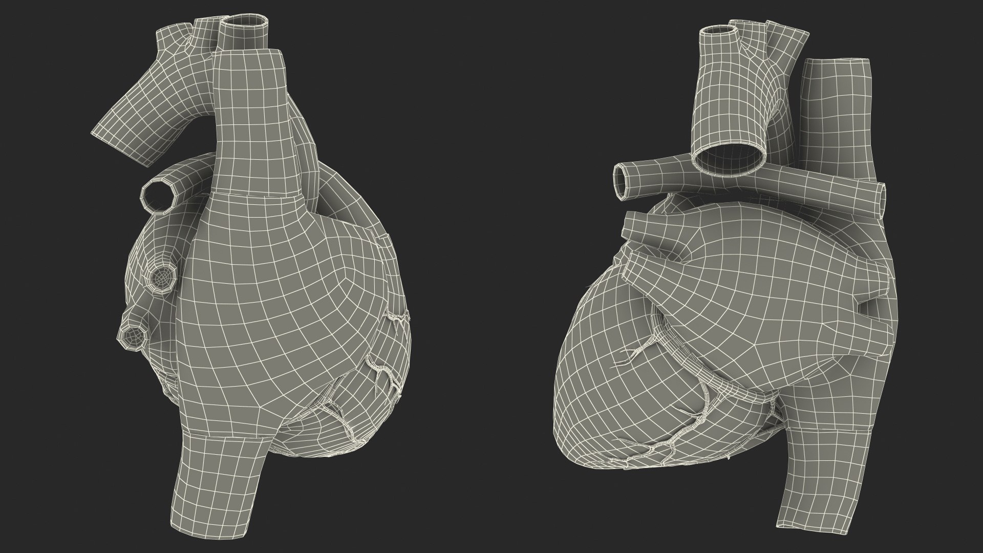 Boy Body Anatomy Collection 4 3D model https://p.turbosquid.com/ts-thumb/xt/F2Pvqw/hX/boybodyanatomycollection4mb3dmodel217/jpg/1655825844/1920x1080/fit_q87/c900f4bb8d1474e7aa36d0add913115368f68153/boybodyanatomycollection4mb3dmodel217.jpg