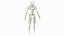 Boy Body Anatomy Collection 4