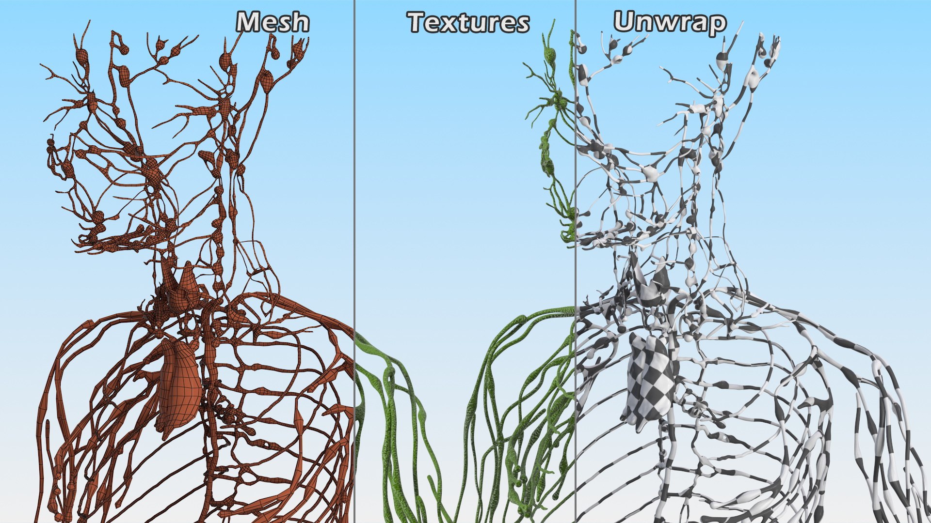 Boy Body Anatomy Collection 4 3D model https://p.turbosquid.com/ts-thumb/xt/F2Pvqw/yB/boybodyanatomycollection4mb3dmodel015/jpg/1655825050/1920x1080/fit_q87/605c0e4658866a66ee960006e7962b5d159bb154/boybodyanatomycollection4mb3dmodel015.jpg