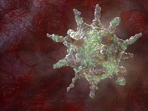 Virus