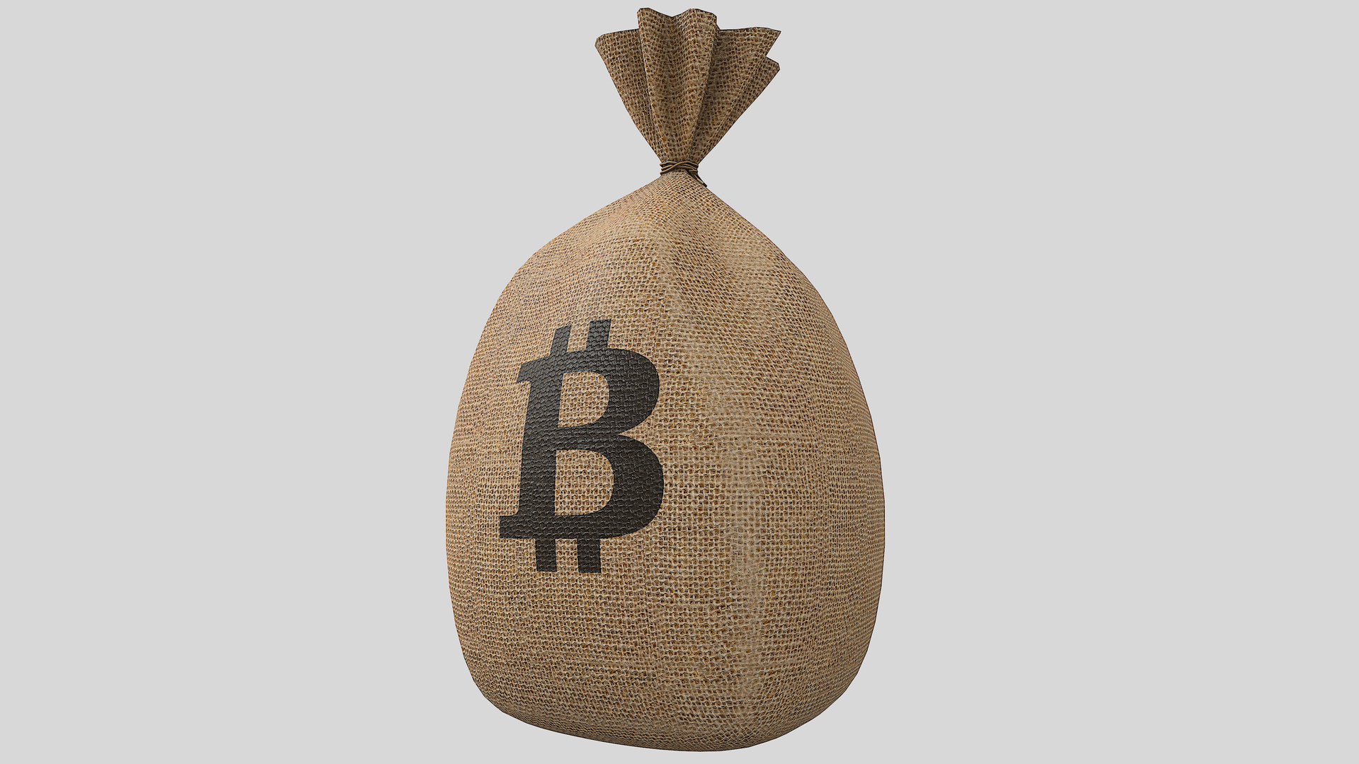 3D Model Money Bag V4 Bitcoin With Pbr 4K 8K - TurboSquid 1724171