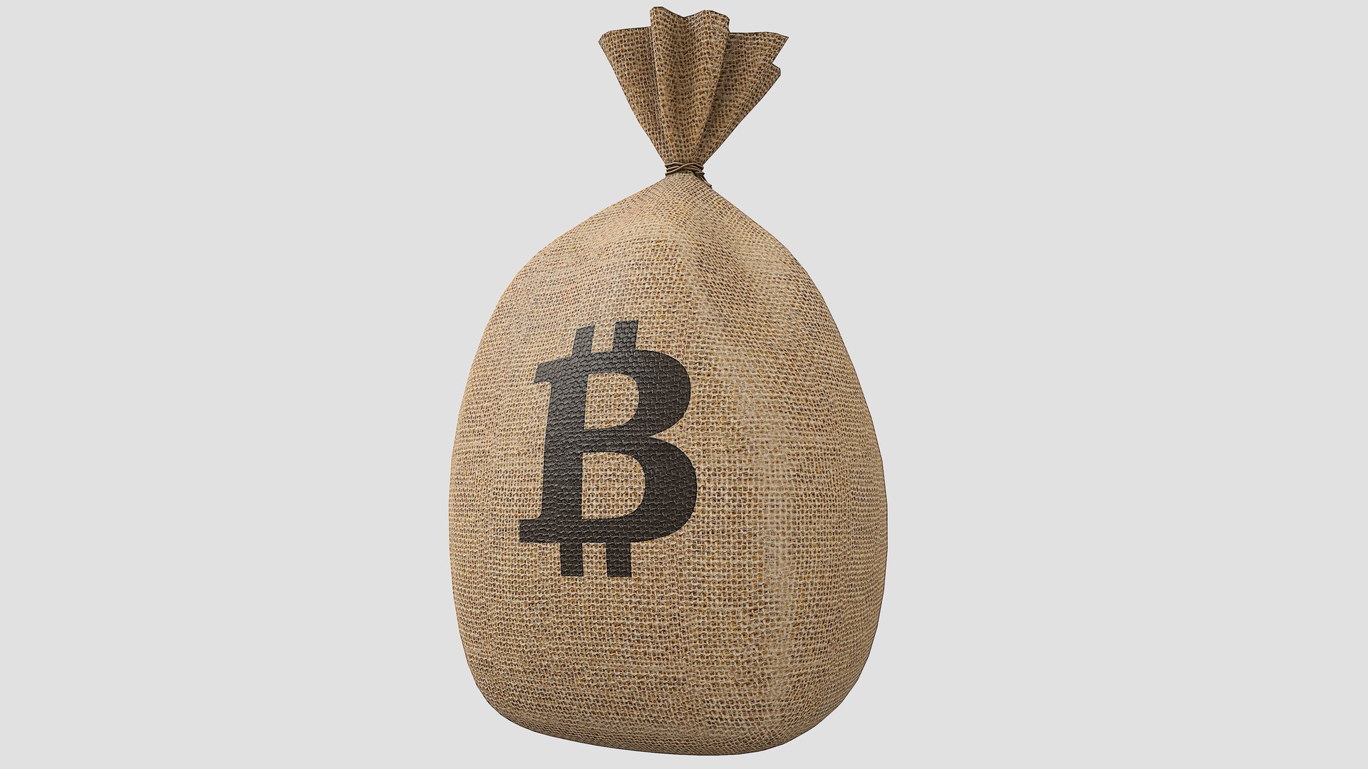 3D Model Money Bag V4 Bitcoin With Pbr 4K 8K - TurboSquid 1724171