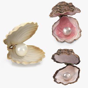 Sea Shells With Pearls Collection 3D model