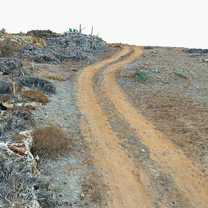 Access road to the ranch 3D model