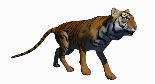 tiger nature animal 3D model