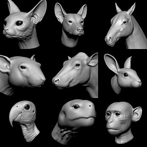 3D animal head base vol 1