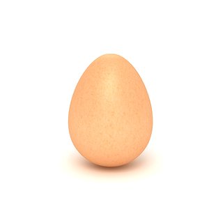 Chiken Egg Brown