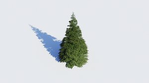 3D model Spruces low poly collection