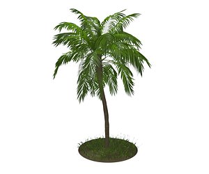 3D mode tree palm