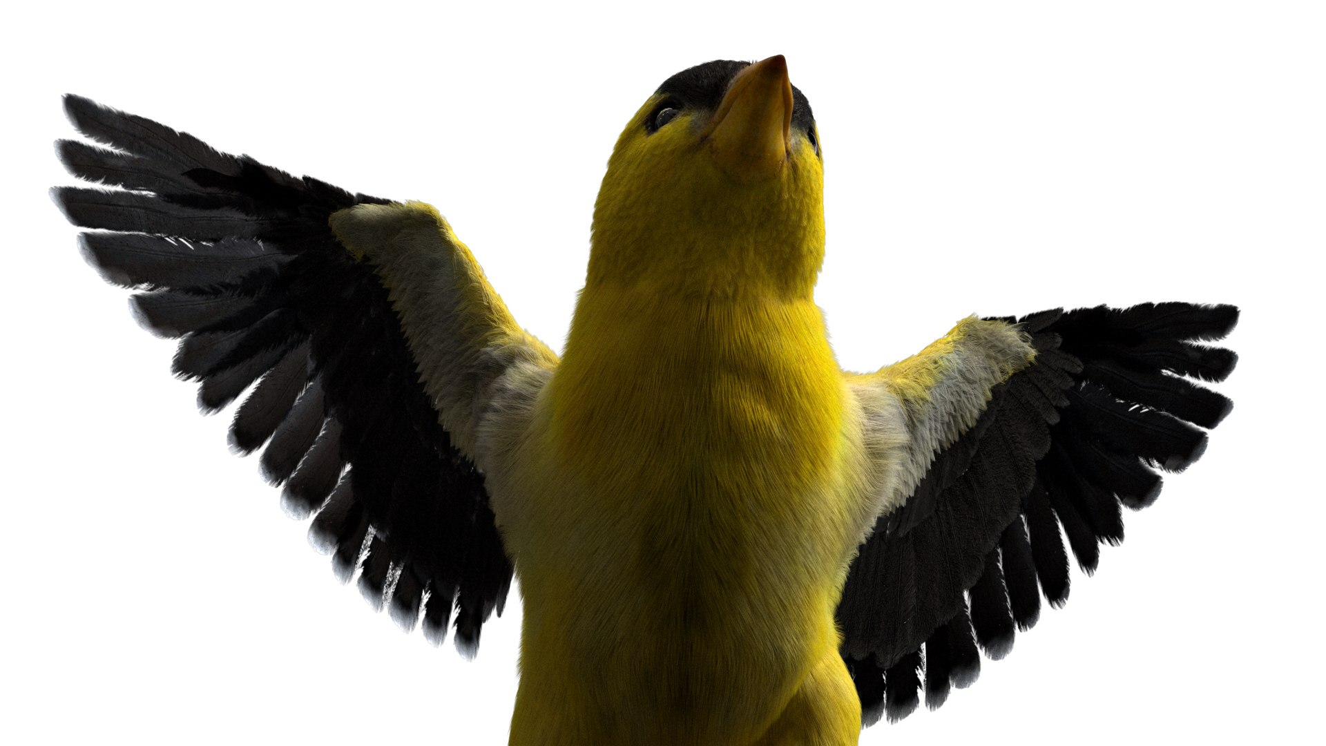 realistic rigged 3D model https://p.turbosquid.com/ts-thumb/xu/iumYwa/8k8S1ADg/14/jpg/1583285681/1920x1080/fit_q87/86b4993a5a5bdfaaed6a3048353298f8b53d8fa9/14.jpg