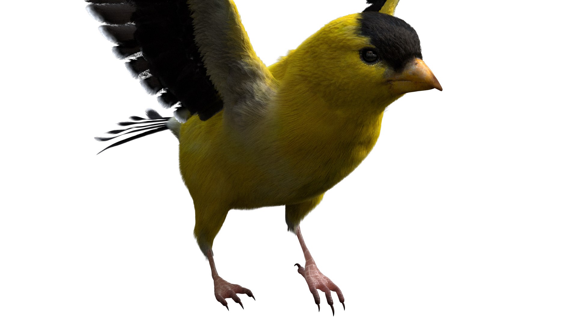 realistic rigged 3D model https://p.turbosquid.com/ts-thumb/xu/iumYwa/J2cWVTJS/11/jpg/1583285681/1920x1080/fit_q87/ced97105fd36e92f0d066194685b27fba66ba8a1/11.jpg