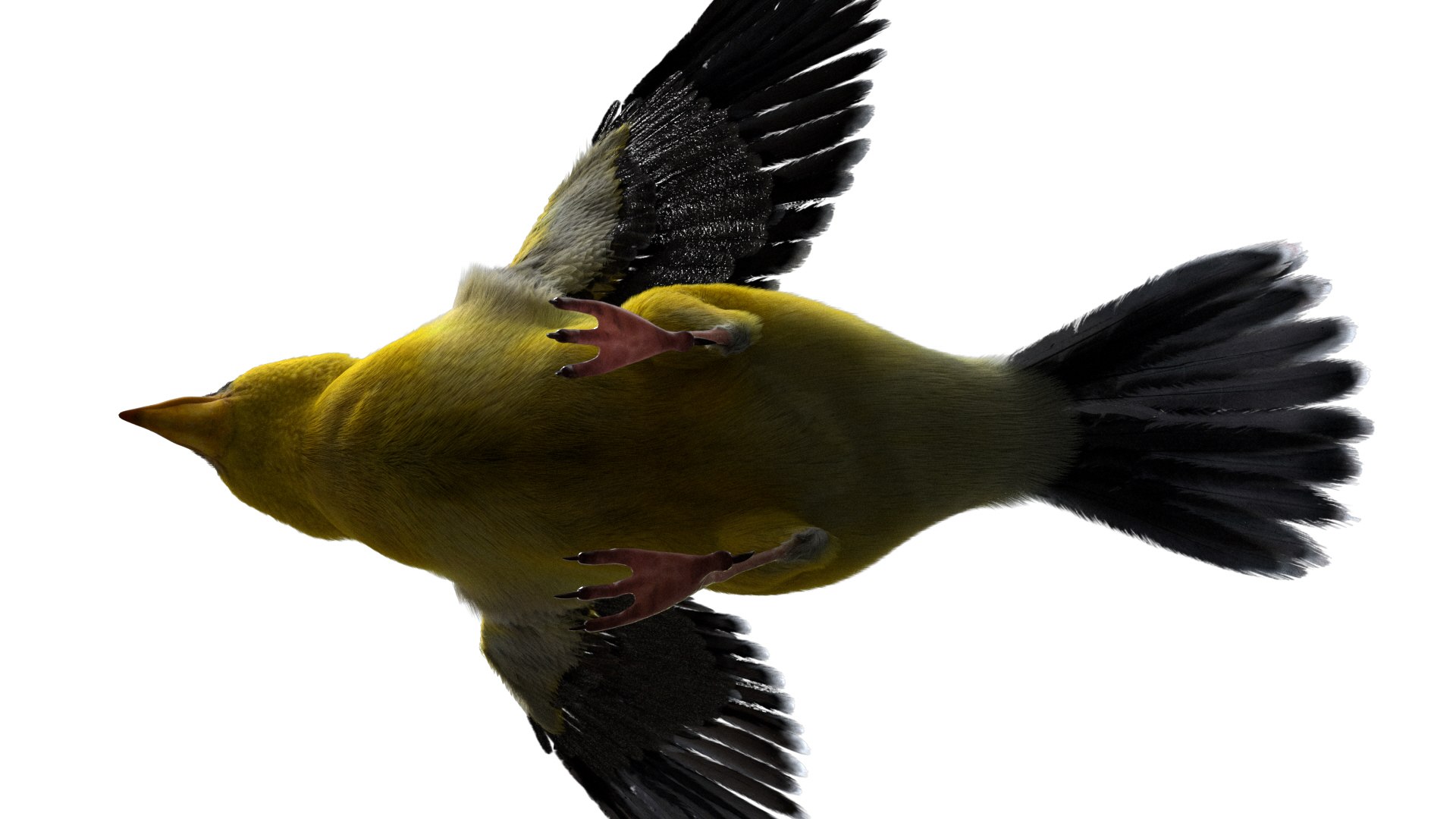 realistic rigged 3D model https://p.turbosquid.com/ts-thumb/xu/iumYwa/NtRpPwwR/17/jpg/1583285681/1920x1080/fit_q87/80207909cdf98d77c3946a97290da47840c2cd53/17.jpg