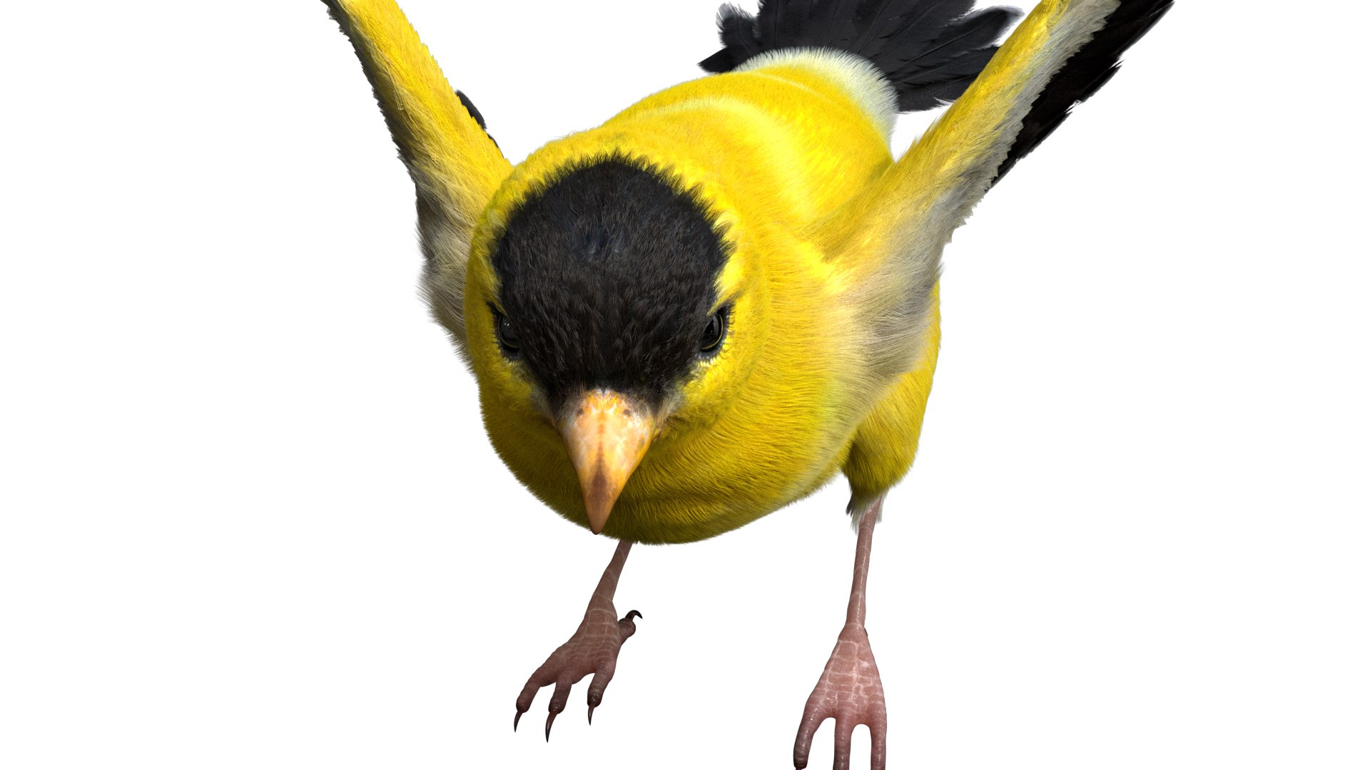 realistic rigged 3D model https://p.turbosquid.com/ts-thumb/xu/iumYwa/VBKur0jm/15/jpg/1583285681/1920x1080/fit_q87/ff9c375f33c05b5bb06b2feea337aad54d4b71e3/15.jpg