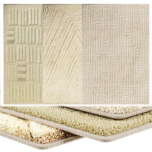 Carpet Art for Interior 47 3D model
