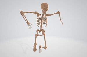 skeleton halloween 3D