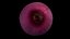 Onion