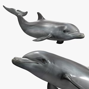 Sea Bottlenose Dolphin Swimming Animated Rigged For Blender 3D model