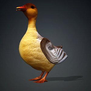 Duck-A8 model