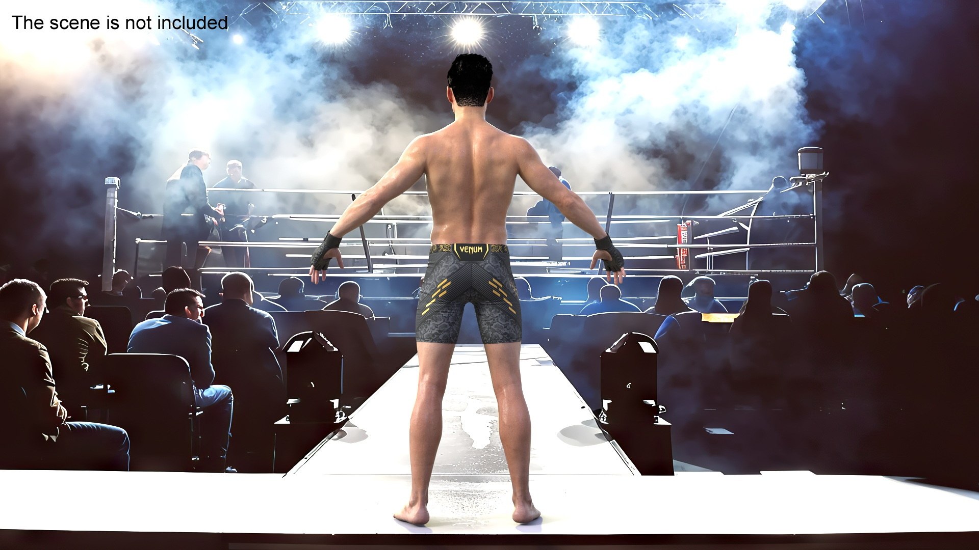 3D UFC MMA Fighter Wet With Sweat A-Pose Fur Model - TurboSquid 2333967