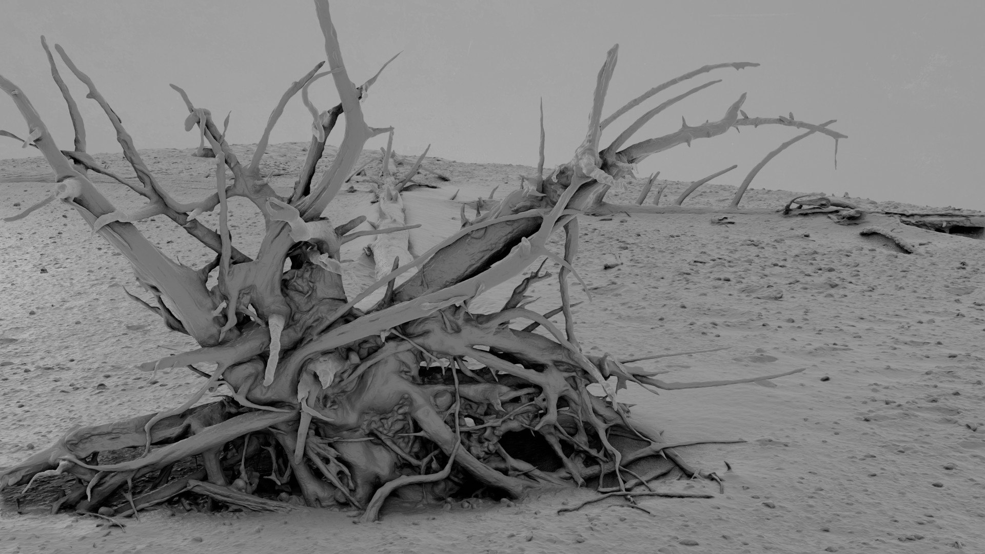 Dead Tree 013 3D - TurboSquid 2370883
