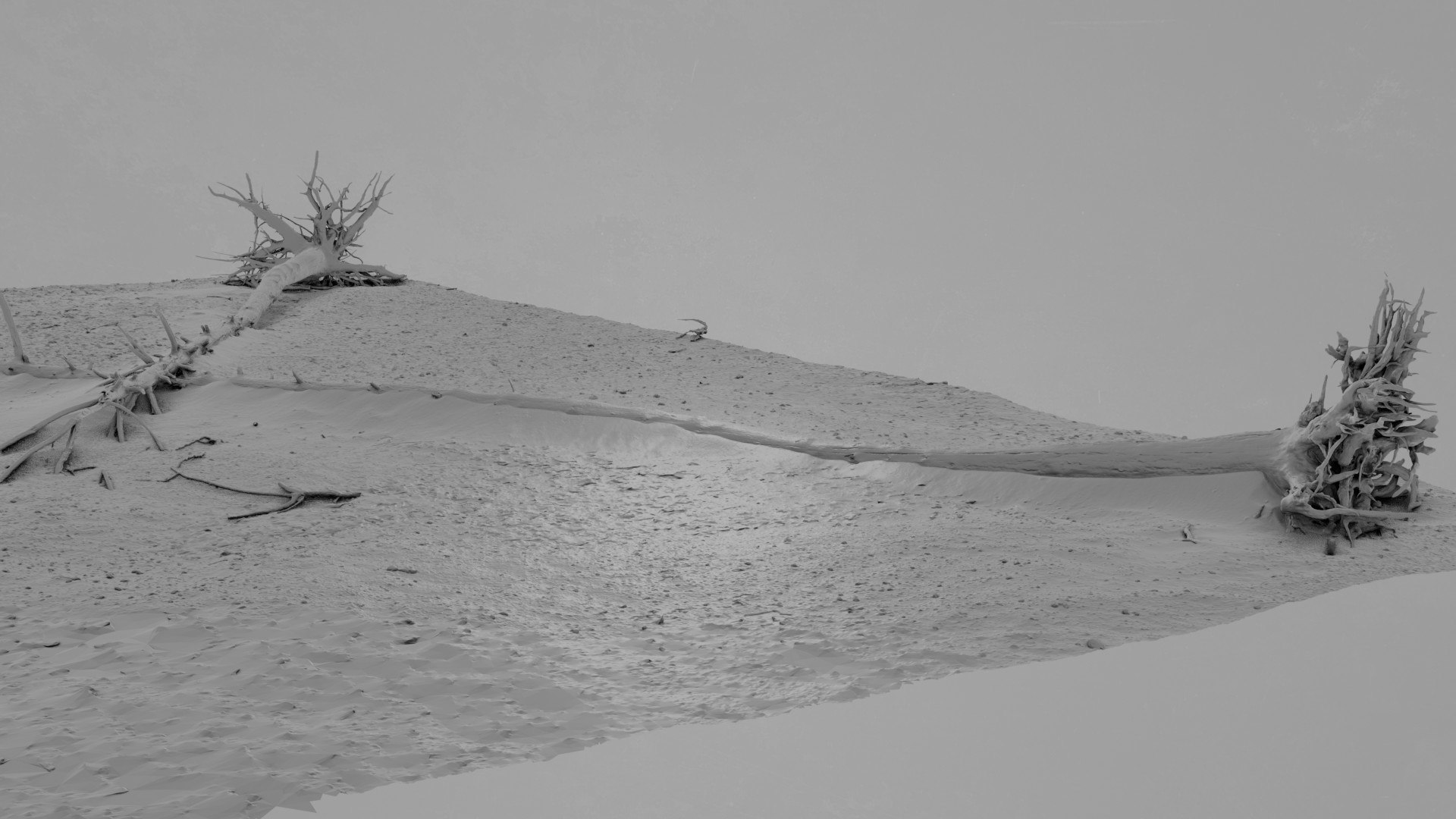 Dead Tree 013 3D - TurboSquid 2370883