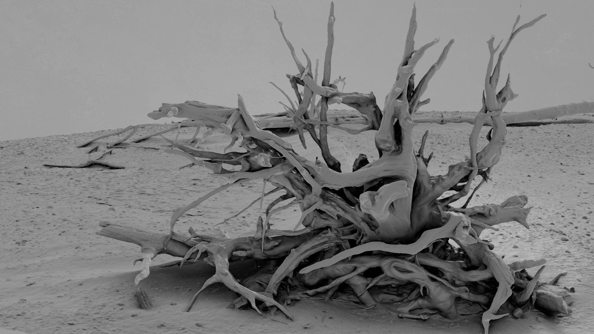 Dead Tree 013 3D - TurboSquid 2370883