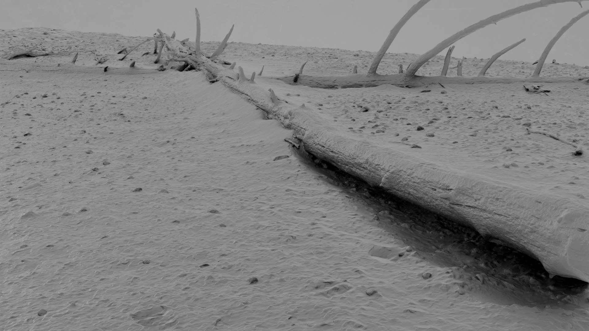 Dead Tree 013 3D - TurboSquid 2370883