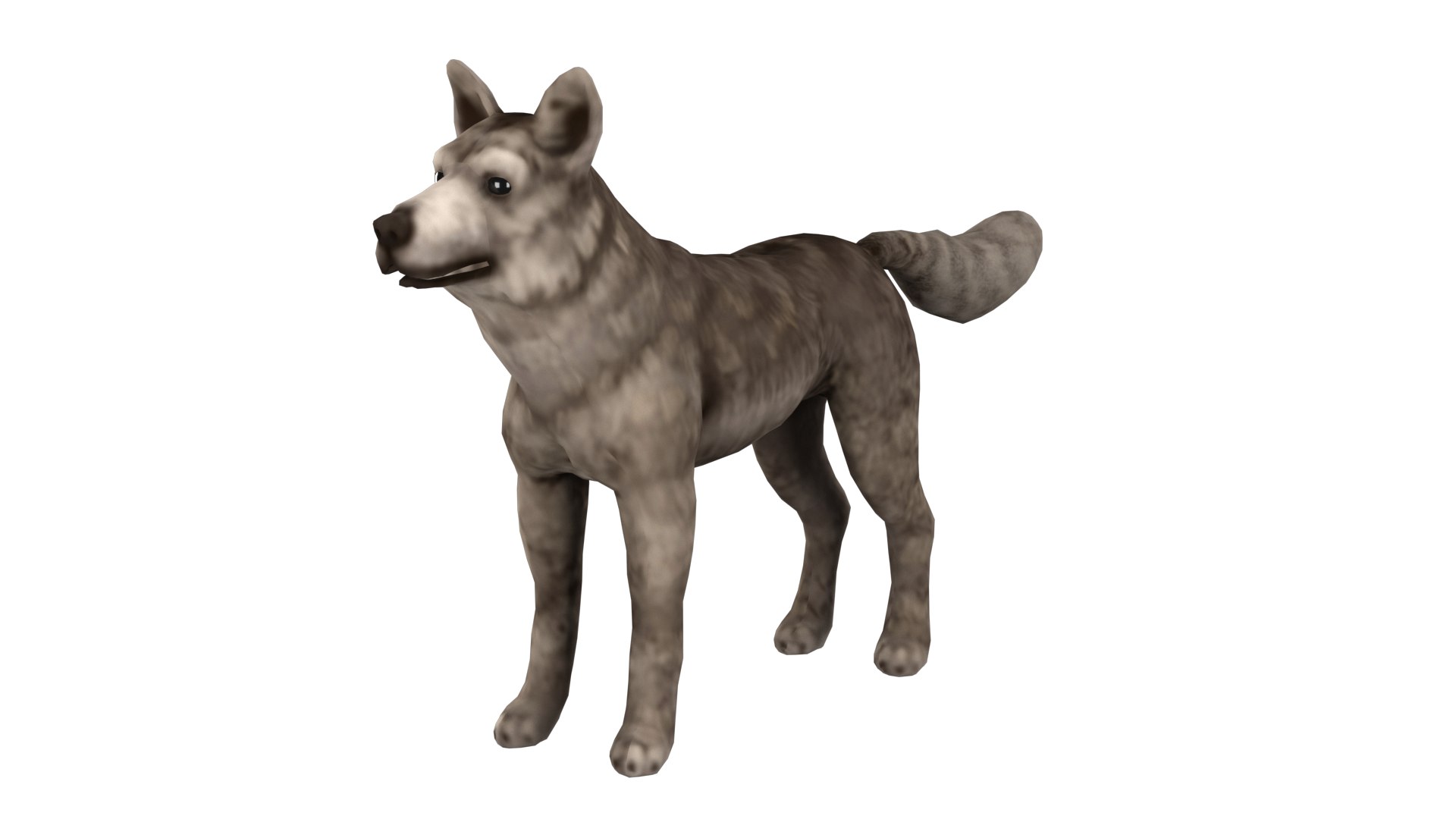 Wolf Rig High-poly Textured 3D Model - TurboSquid 2345356