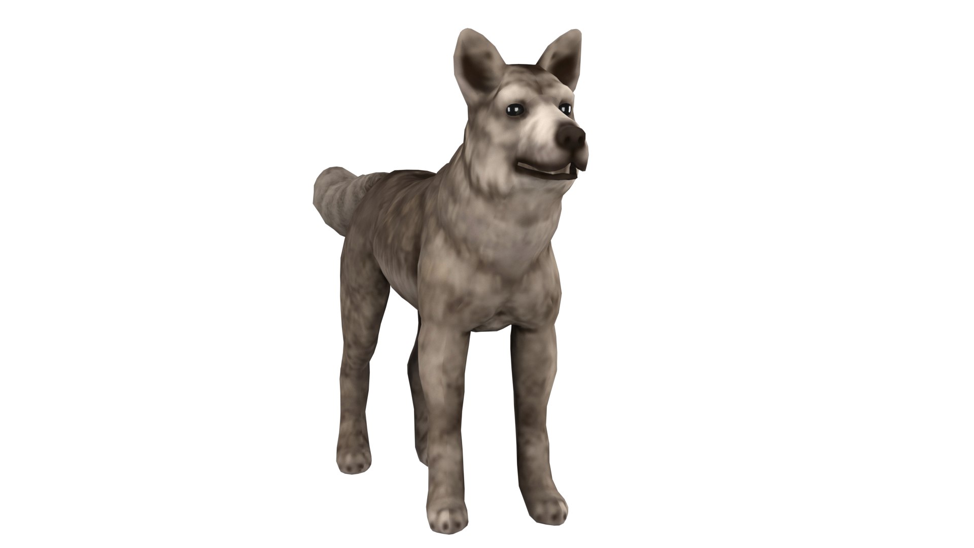 Wolf Rig High-poly Textured 3D Model - TurboSquid 2345356