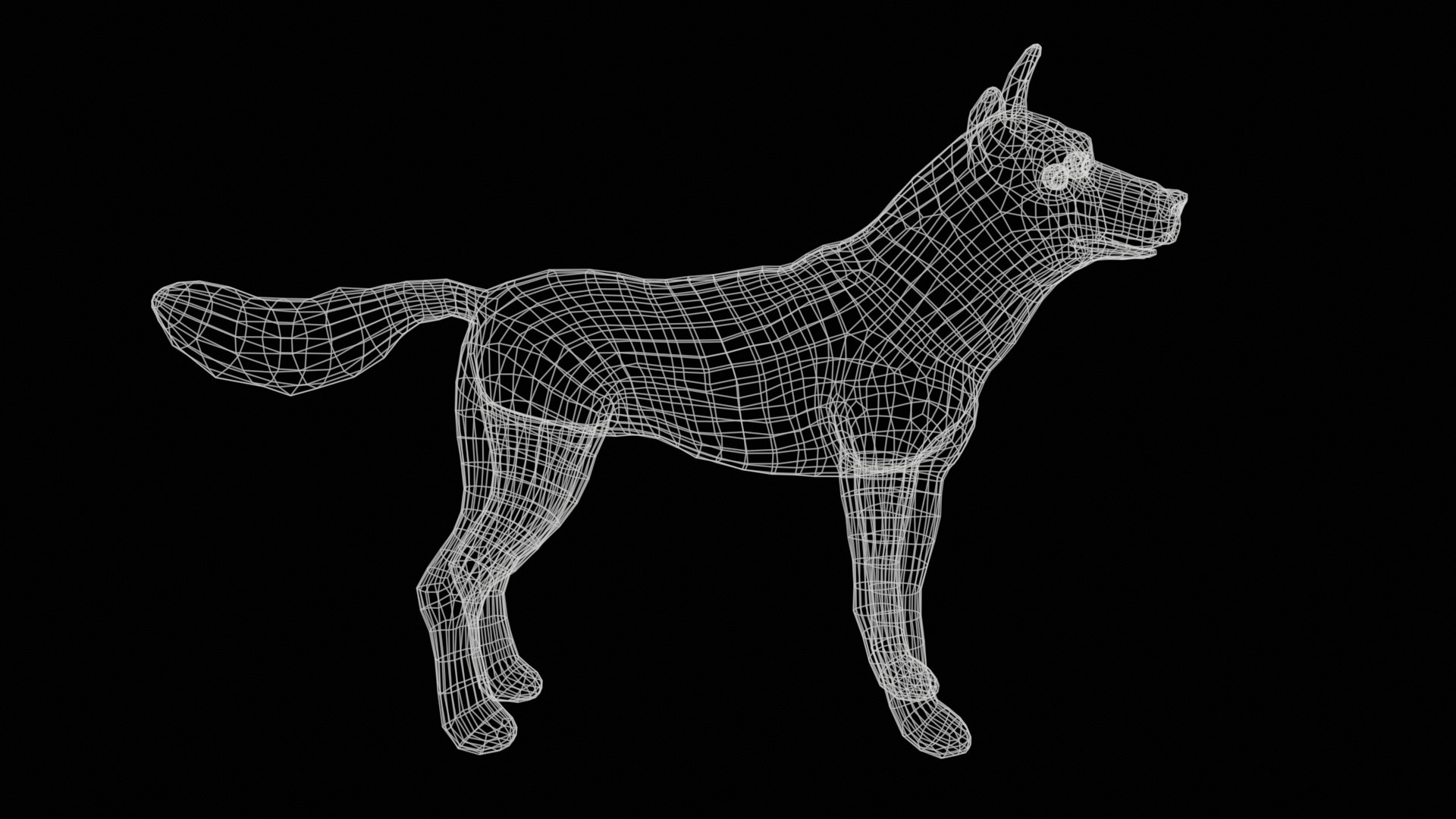 Wolf Rig High-poly Textured 3D Model - TurboSquid 2345356