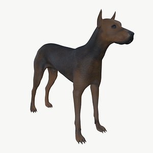 Brown Dog 3D model