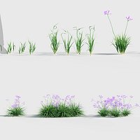 GDV19Glycinemax3dsMax