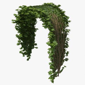 Ivy_P2_10