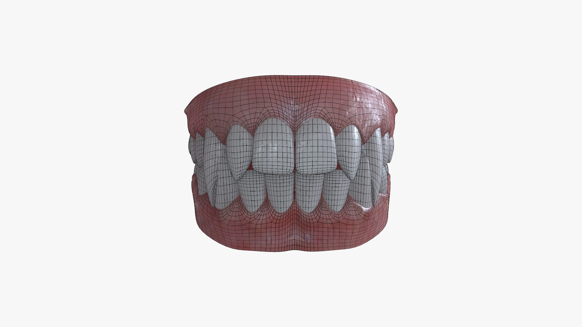 3D TET-002 Rigged Teeth - TurboSquid 1993501