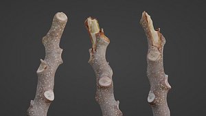 3D Log
