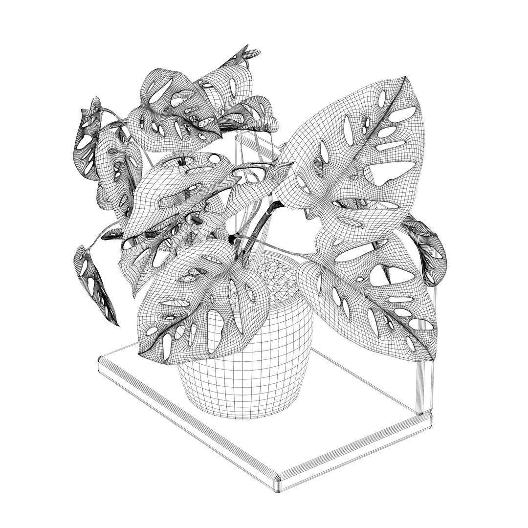 Monstera monkey mask 01 3D model https://p.turbosquid.com/ts-thumb/xv/zWYqK5/G1/monsteramonkeymask01cwire/jpg/1663753200/1920x1080/fit_q87/e537a0f90a285e1ab8830421e8afc115c3894120/monsteramonkeymask01cwire.jpg