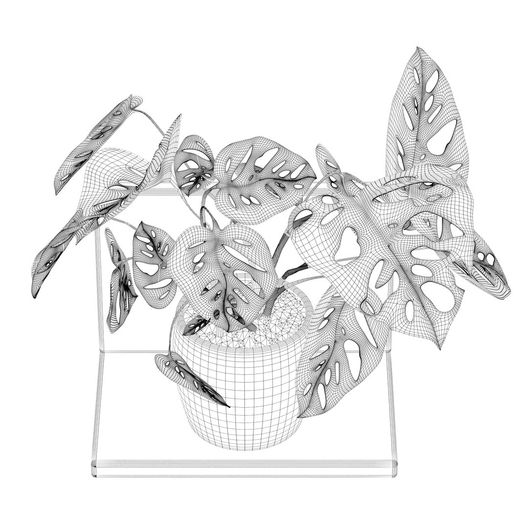 Monstera monkey mask 01 3D model https://p.turbosquid.com/ts-thumb/xv/zWYqK5/rH/monsteramonkeymask01awire/jpg/1663753196/1920x1080/fit_q87/5c44b1cff40cf7a101a52571cb108adc65376368/monsteramonkeymask01awire.jpg